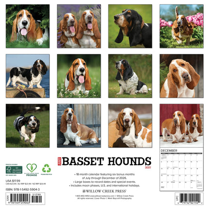 Willow Creek Basset Hound Kalender 2026