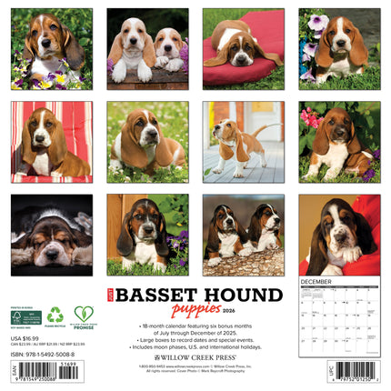 Willow Creek Basset Hound Puppies Kalender 2026