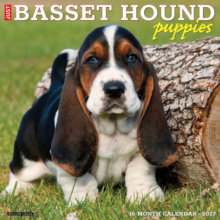 Willow Creek Basset Hound Puppies Kalender 2026