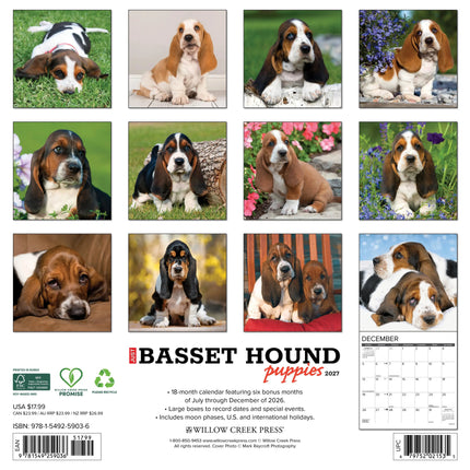 Willow Creek Basset Hound Puppies Kalender 2027
