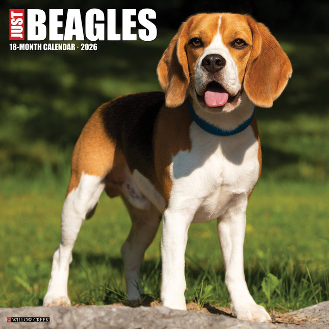 Willow Creek Beagle Kalender 2026