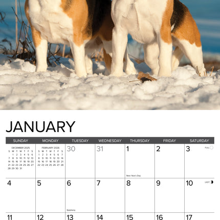 Willow Creek Beagle Kalender 2026
