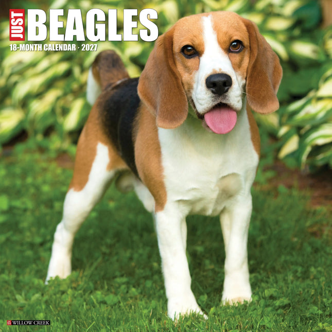 Willow Creek Beagle Kalender 2027