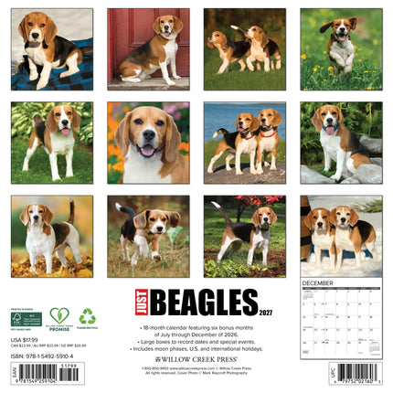 Willow Creek Beagle Kalender 2027