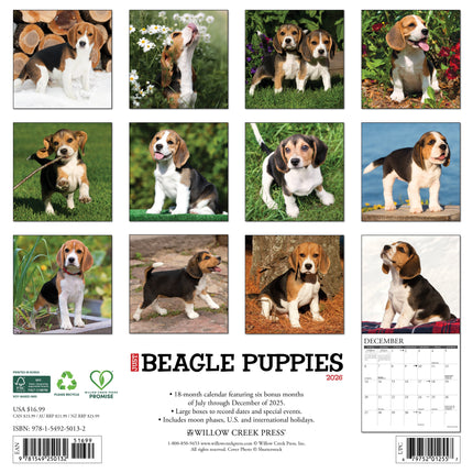 Willow Creek Beagle Puppies Kalender 2026