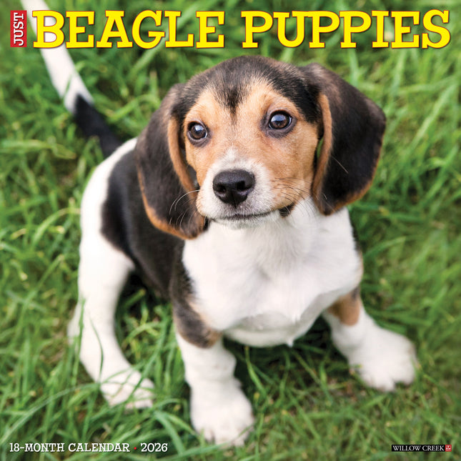 Willow Creek Beagle Puppies Kalender 2027