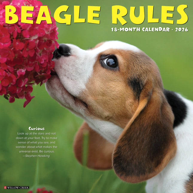 Willow Creek Beagle Rules Kalender 2026