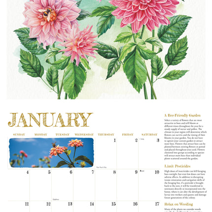 Willow Creek BEE Happy Kalender 2026