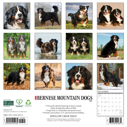 Willow Creek Berner Sennen Kalender 2027