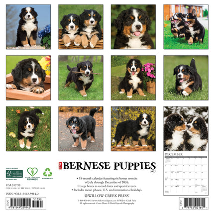 Willow Creek Berner Sennen Puppies Kalender 2027