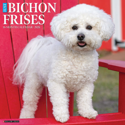 Willow Creek Bichon Frise Kalender 2026