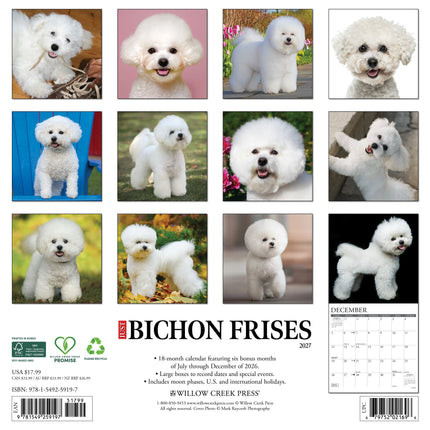Willow Creek Bichon Frise Kalender 2026