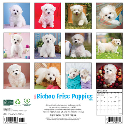 Willow Creek Bichon Frise Puppies Kalender 2027