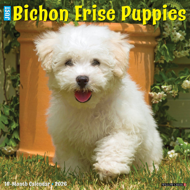 Willow Creek Bichon Frise Puppies Kalender 2027