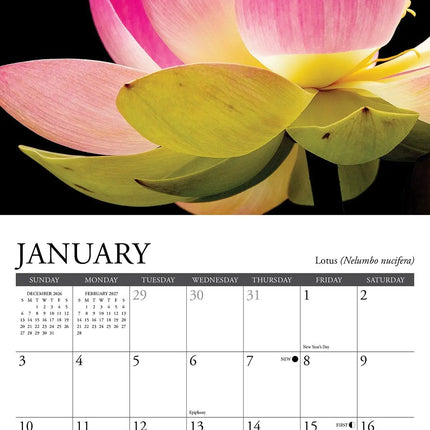 Willow Creek Bloemen Kalender 2027 Mini