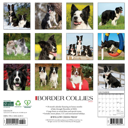 Willow Creek Border Collie Kalender 2025
