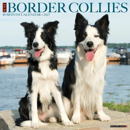 Willow Creek Border Collie Kalender 2027