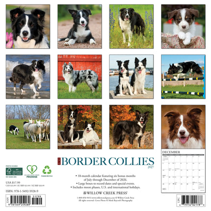 Willow Creek Border Collie Kalender 2027