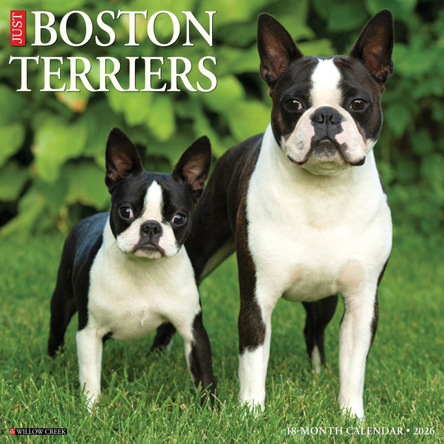 Willow Creek Boston Terrier Kalender 2026