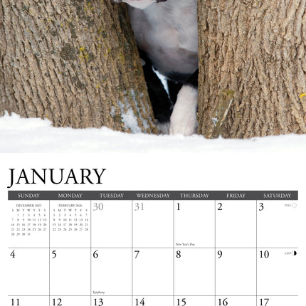 Willow Creek Boston Terrier Kalender 2026