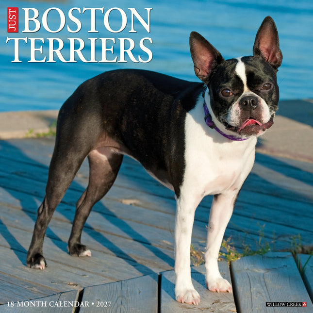 Willow Creek Boston Terrier Kalender 2027