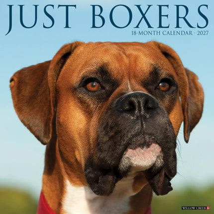 Willow Creek Boxer Kalender 2027