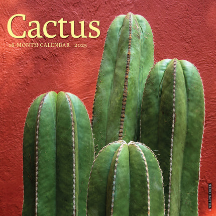 Willow Creek Cactus Kalender 2025