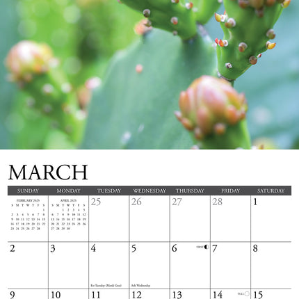 Willow Creek Cactus Kalender 2025