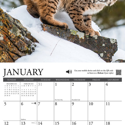 Willow Creek Call of the Wild Kalender 2025