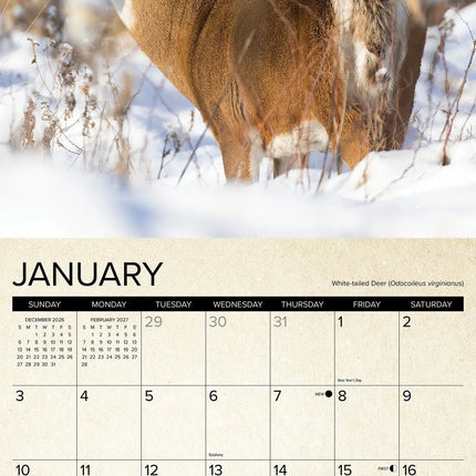 Willow Creek Canadian Fish & Wild Game Kalender 2027