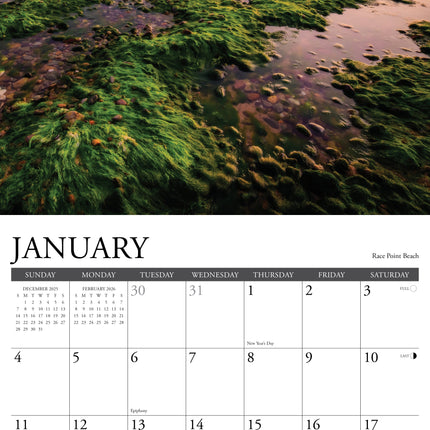 Willow Creek Cape Cod Kalender 2026