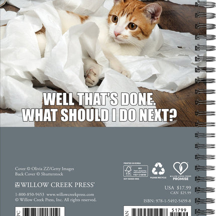 Willow Creek Cat-Astrophe Agenda 2026