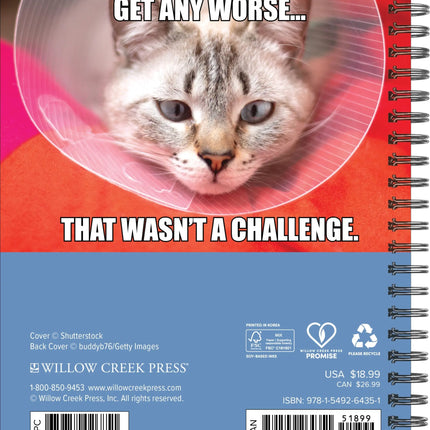 Willow Creek Cat-Astrophe Agenda 2027