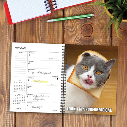 Willow Creek Cat-Astrophe Agenda 2027