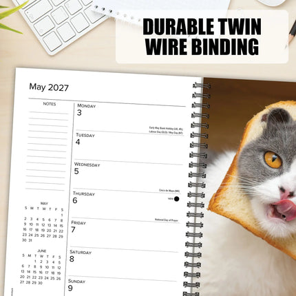 Willow Creek Cat-Astrophe Agenda 2027