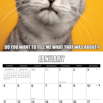 Willow Creek Cat-Astrophe Kalender 2026