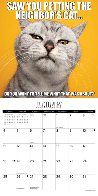 Willow Creek Cat-Astrophe Kalender 2026