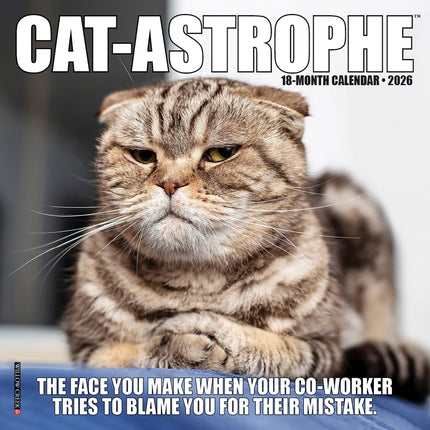 Willow Creek Cat-astrophe Kalender 2026 Mini