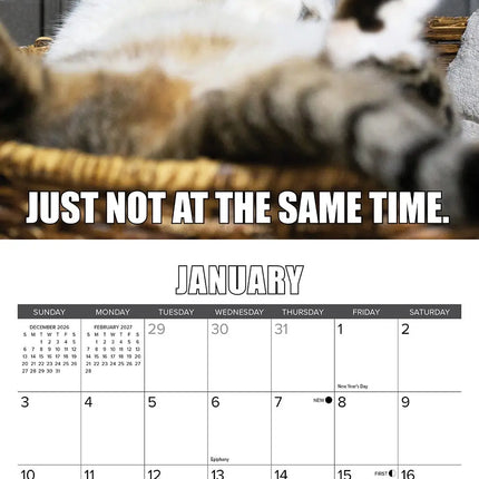 Willow Creek Cat-astrophe Kalender 2027 Mini