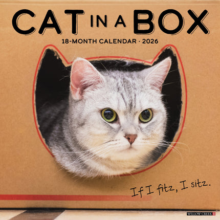 Willow Creek Cat in a Box Kalender 2026