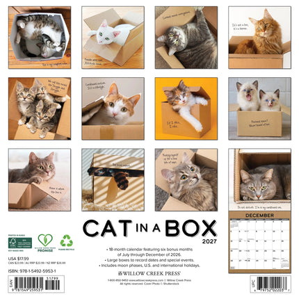 Willow Creek Cat in a Box Kalender 2026