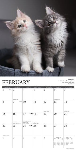 Willow Creek Cat Rules Kalender 2026