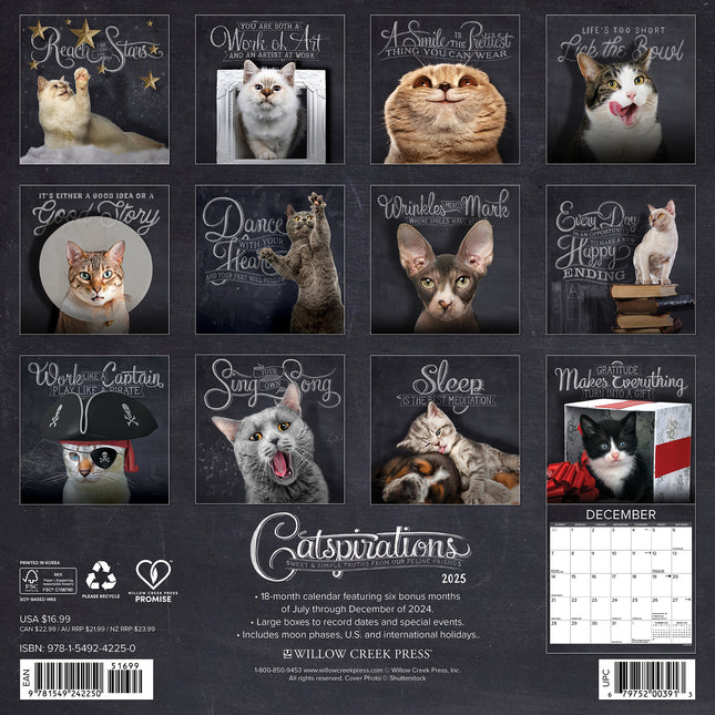 Willow Creek Catspirations Kalender 2025