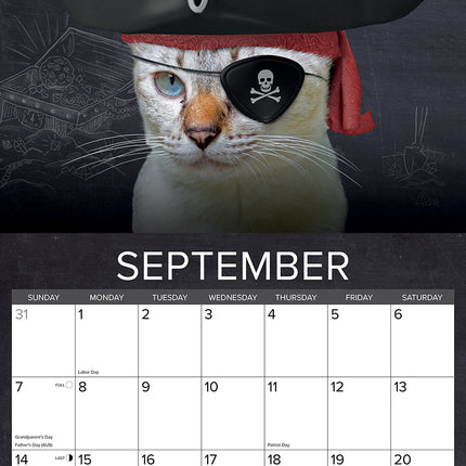 Willow Creek Catspirations Kalender 2025