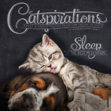 Willow Creek Catspirations Kalender 2027
