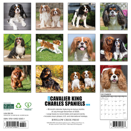 Willow Creek Cavalier King Charles Spaniel Kalender 2026