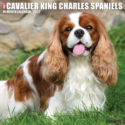 Willow Creek Cavalier King Charles Spaniel Kalender 2027