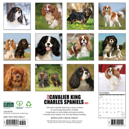 Willow Creek Cavalier King Charles Spaniel Kalender 2027