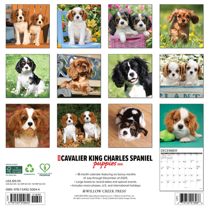Willow Creek Cavalier King Charles Spaniel Puppies Kalender 2026