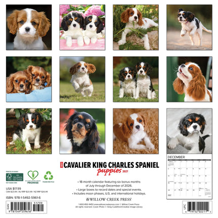 Willow Creek Cavalier King Charles Spaniel Puppies Kalender 2027